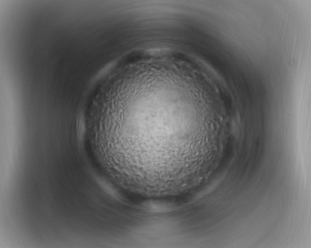 X0000114120733200910131403