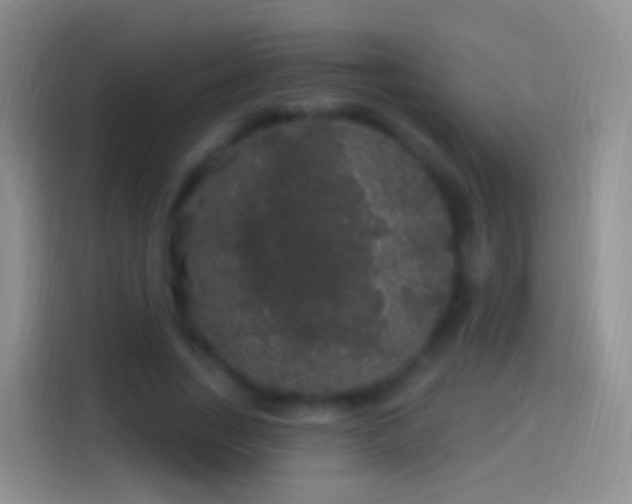 X0000114120735200910131403