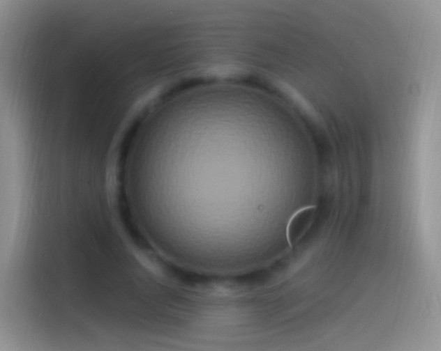 X0000114120736200910131403