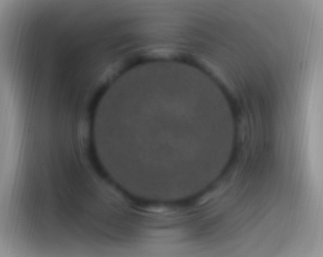 X0000114120739200910131403