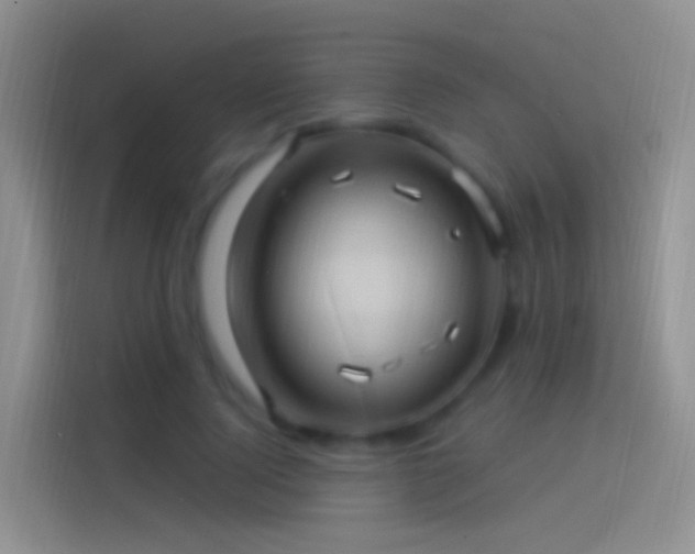 X0000114120740200910131403