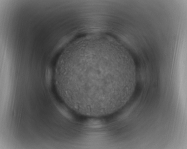 X0000114120742200910131403