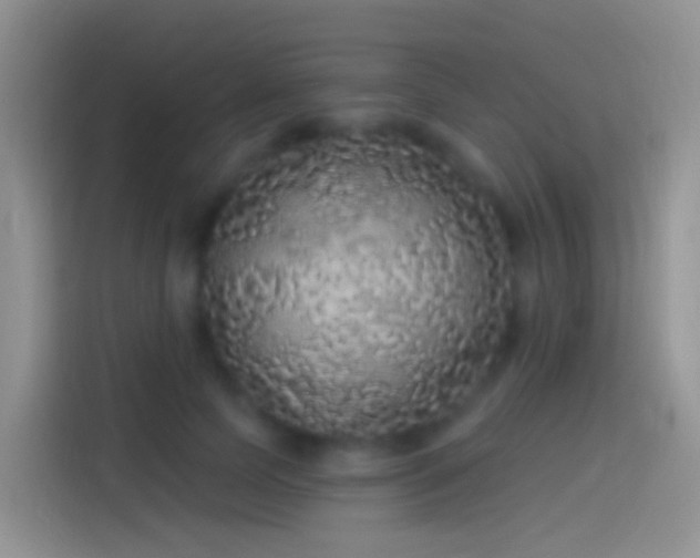 X0000114120745200910131403