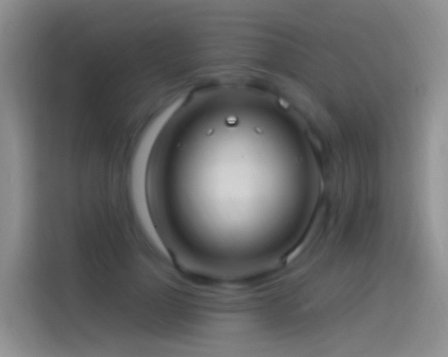 X0000114120748200910131403