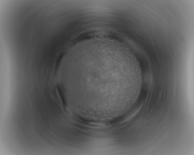 X0000114120751200910131403