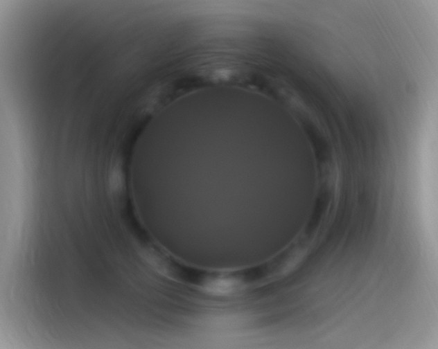 X0000114120754200910131403