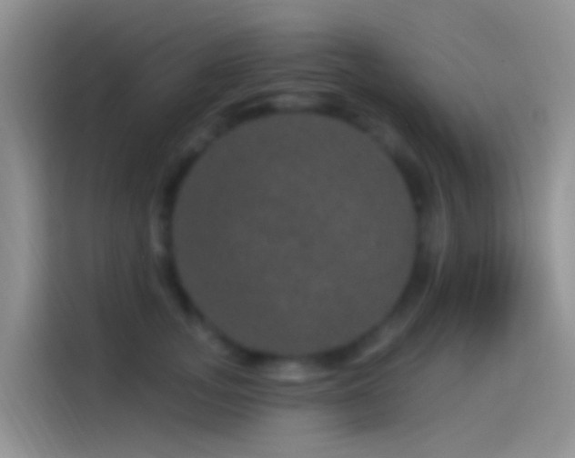 X0000114120755200910131403