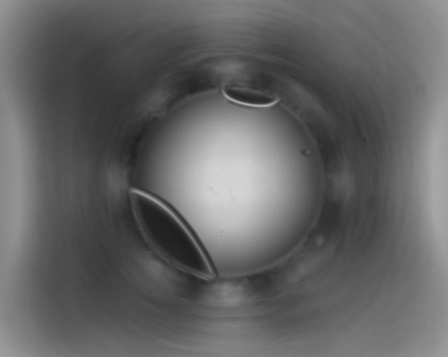 X0000114120756200910131403