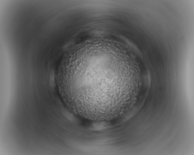 X0000114120757200910131403