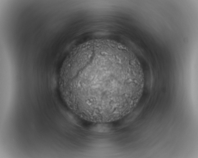 X0000114120758200910131403