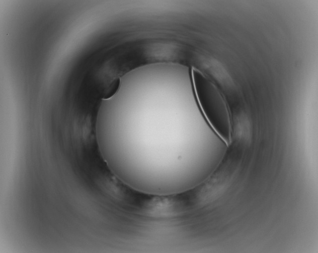 X0000114120764200910131403