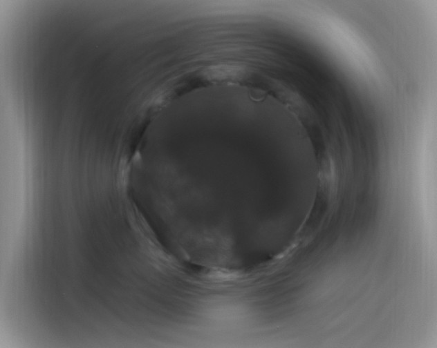 X0000114120767200910131403