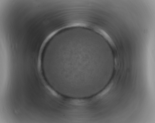 X0000114120780200910131402