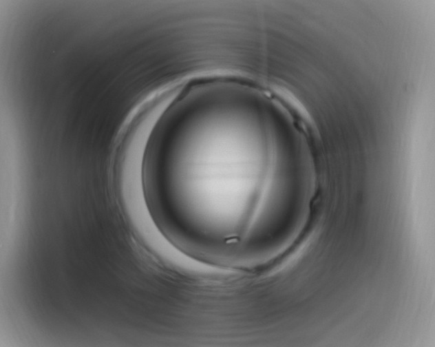 X0000114120781200910131402