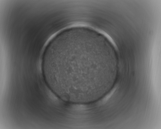 X0000114120783200910131402