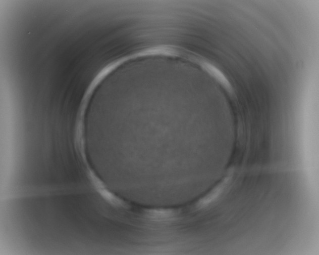 X0000114120800200910131402