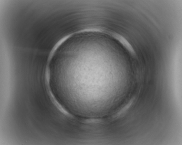 X0000114120804200910131402