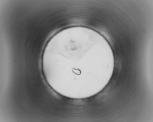 X0000114120807200910131402