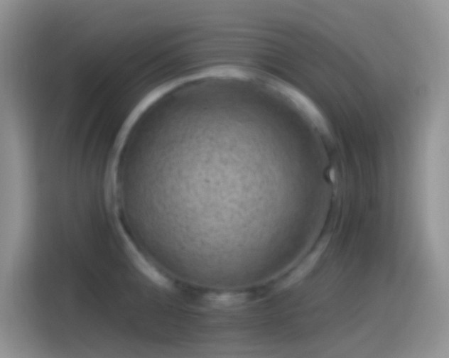 X0000114120808200910131402