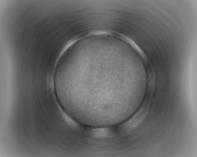 X0000114120810200910131402