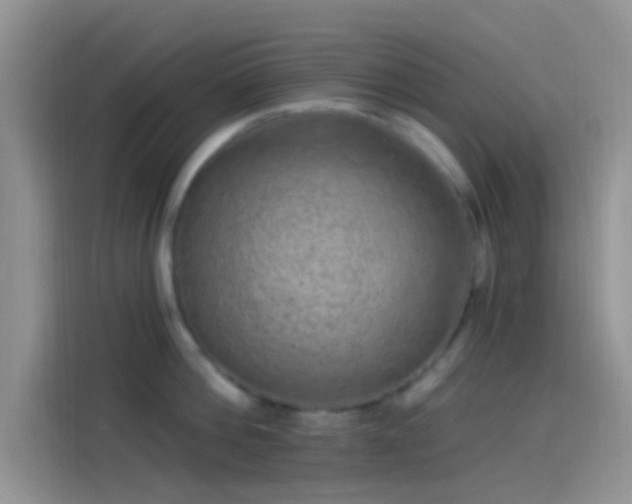 X0000114120812200910131402