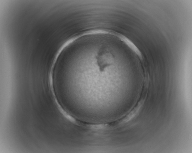 X0000114120813200910131402