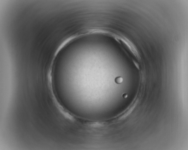 X0000114120814200910131402