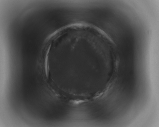 X0000114120822200910131401