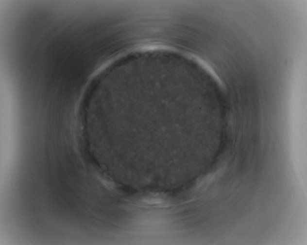 X0000114120823200910131401