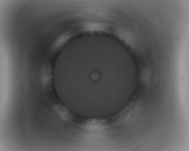 X0000114120824200910131401