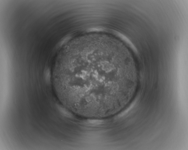 X0000114120825200910131401