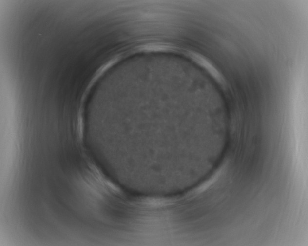 X0000114120829200910131401