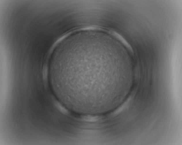 X0000114120831200910131401