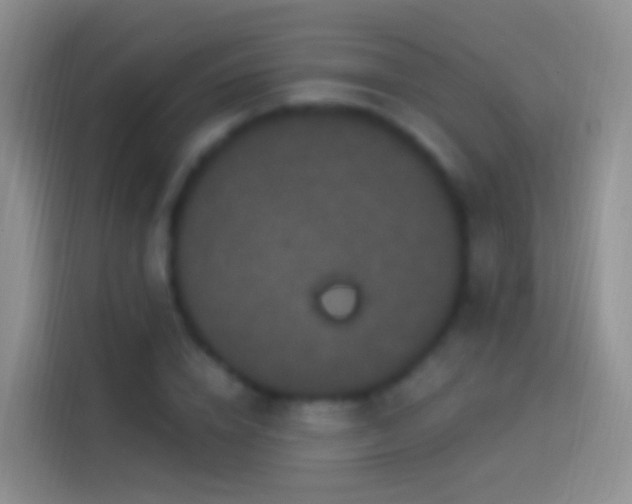 X0000114120832200910131401