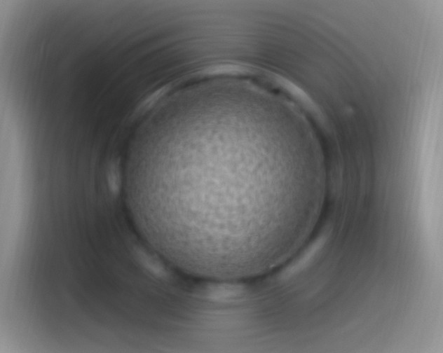 X0000114120833200910131401