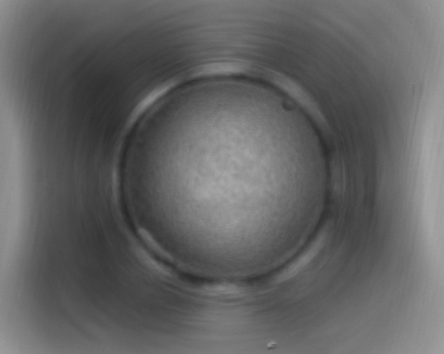 X0000114120834200910131401