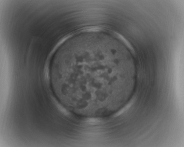 X0000114120835200910131402