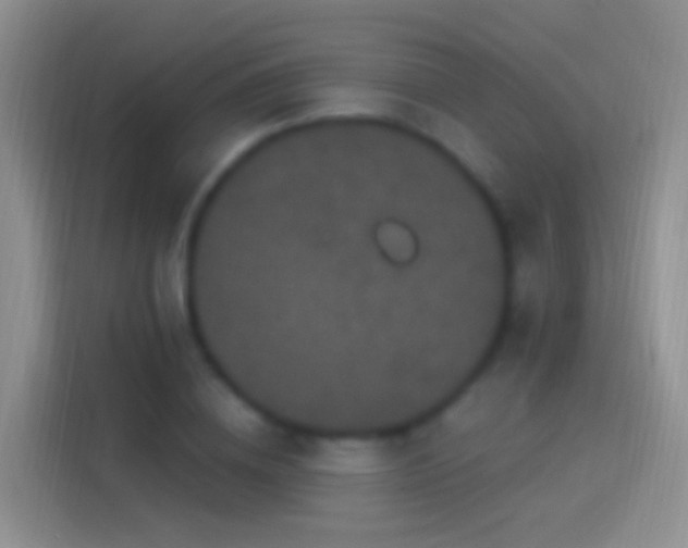 X0000114120836200910131402