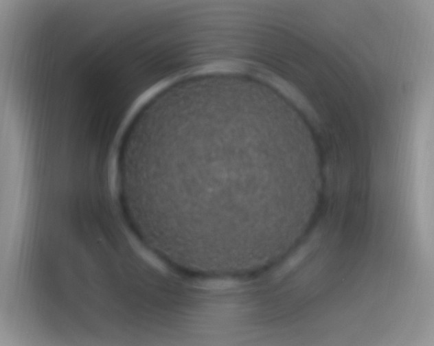 X0000114120838200910131402