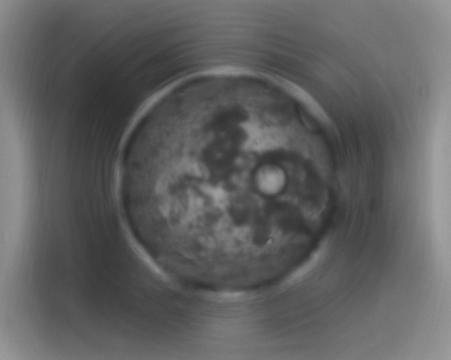 X0000114120839200910131402