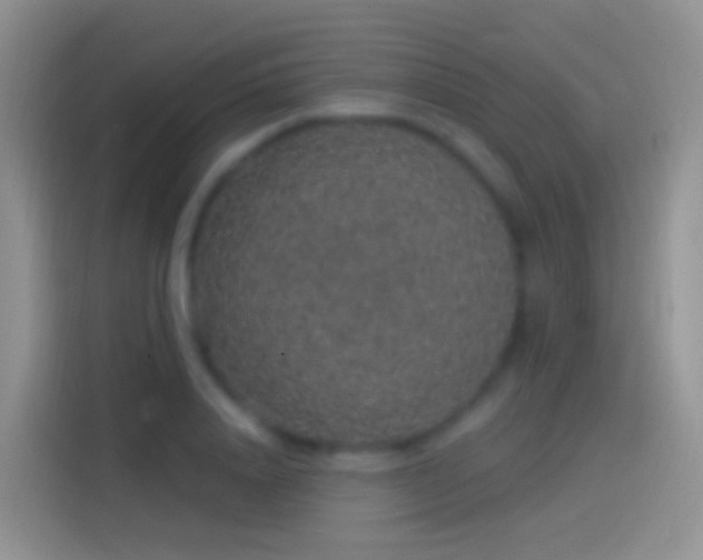 X0000114120840200910131402