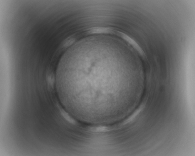 X0000114120841200910131402