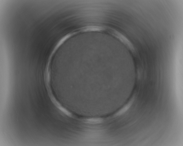 X0000114120844200910131402