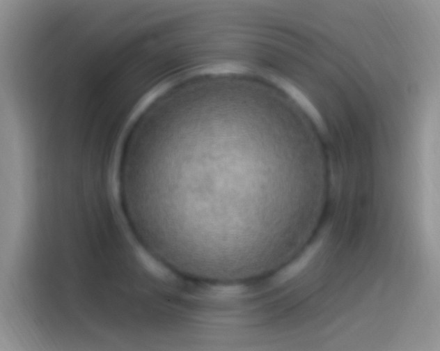 X0000114120845200910131402