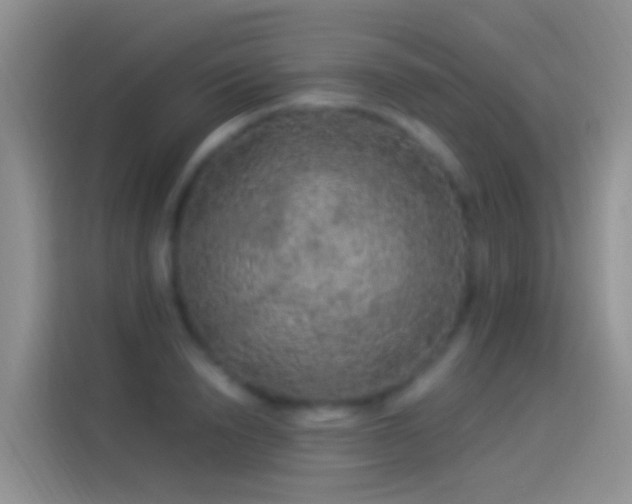 X0000114120846200910131402