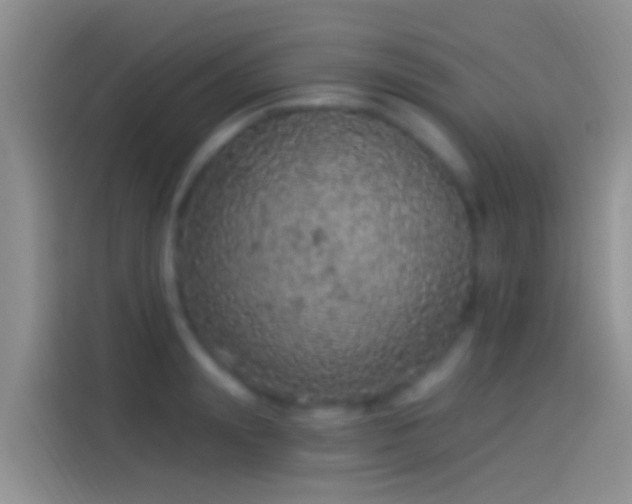 X0000114120847200910131402