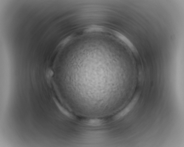 X0000114120849200910131402