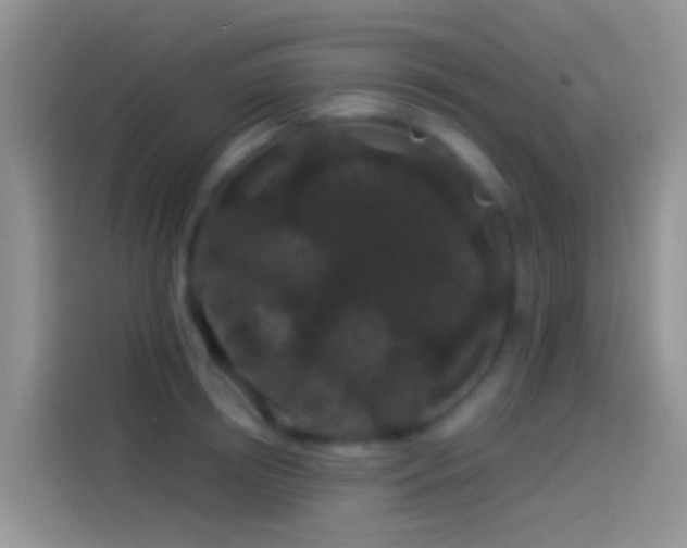 X0000114120850200910131402