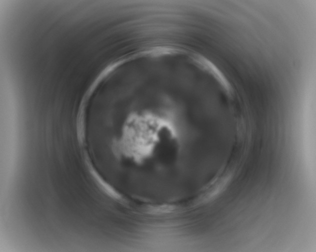 X0000114120851200910131402