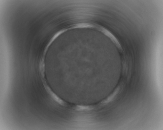 X0000114120852200910131402